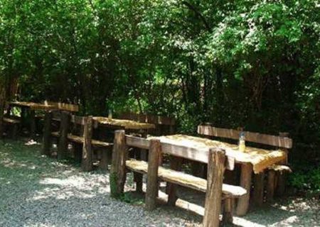 پارک جنگلی ۲۰ هکتاری در شهر قدس احداث می‌شود
