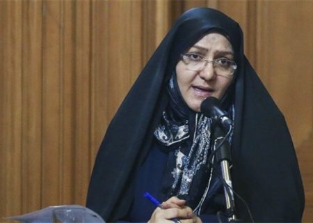 رئیس کمیته ایمنی شورای شهر : ۱۷۹ پل در تهران به مقاوم‌سازی نیاز دارد