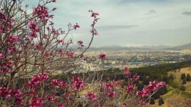 تهرانگردی در پارک سرخه خصار