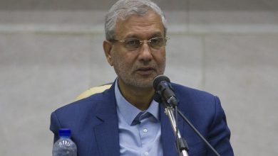 علی ربیعی