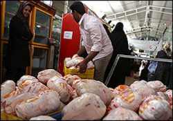کاهش قیمت مرغ در میادین میوه و تره بار تهران