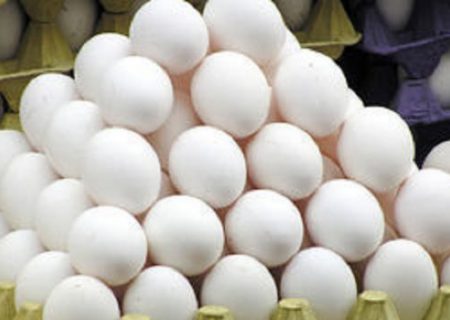 عرضه روزانه ۱۰۰ تن تخم مرغ در میادین تهران  