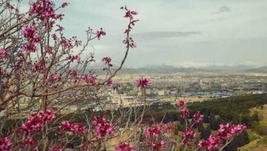 آدرس و شماره تلفن نواحی و سرای محلات شهرداری منطقه ۱۳ تهران