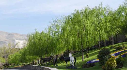 بوستان جوانمردان ایران شهرداری منطقه ۲۲ تهران