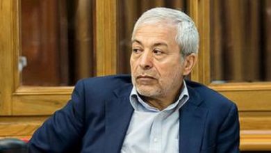 محمود میرلوحی