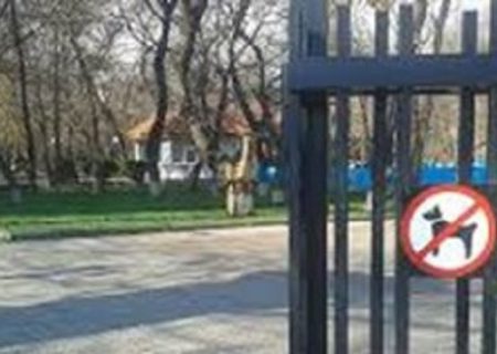 تابلوی ورود ممنوع حیوانات در ۸۰ درصد پارکها نصب شده است