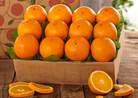 چرا پرتقال یکی ازبهترین میوه‌های فصل زمستان به حساب می‌آید ؟
