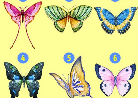 شخصیت شناسی؛ کدام پروانه را انتخاب می‌کنید؟