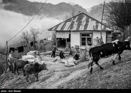 زندگی ساده در روستای شامیلرزان/گزارش تصویری