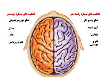 آزمون ذهنی؛ کدام نیمکره مغزتان فعال است؟