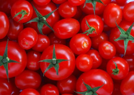 روش درست درمان واریس با «گوجه فرنگی»