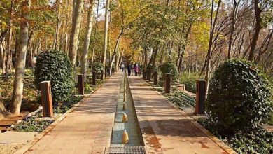 باغ های تهران برای عکاسی