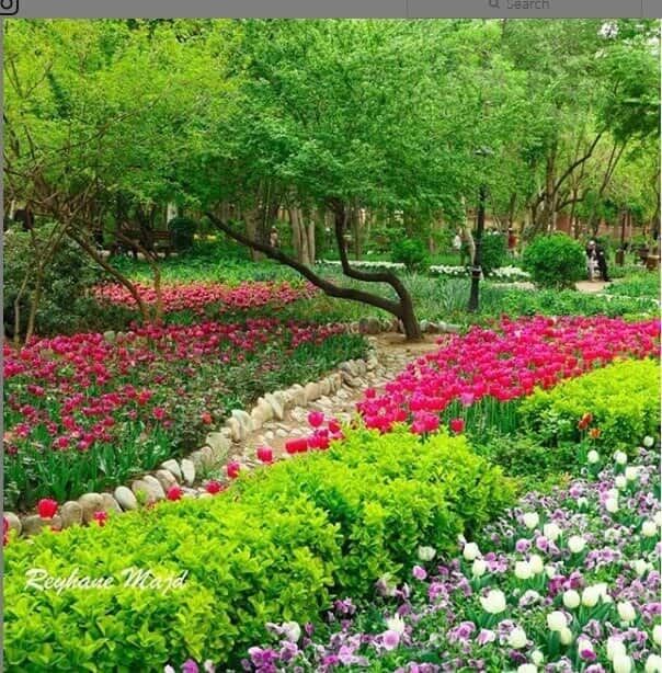 چگونه به باغ ایرانی برویم
