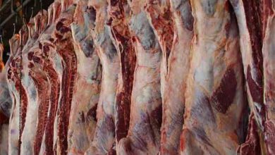 واردات گوشت قرمز