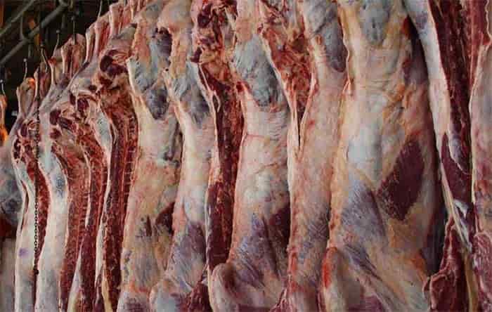 واردات گوشت قرمز