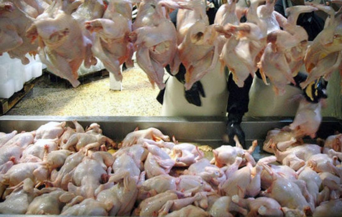 قیمت مرغ بیش از ۱۱۵۰۰تومان تخلف است