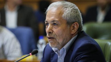 محمود میرلوحی