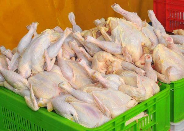 فروش مرغ با نرخ ۱۵ هزار تومان تخلف صنفی است