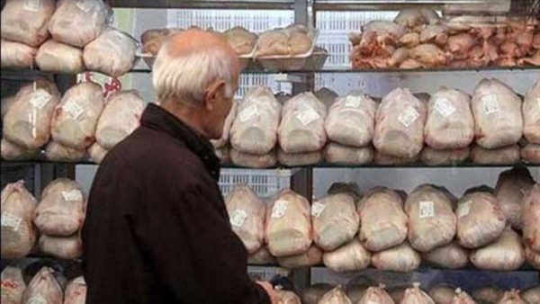 افزایش قیمت مرغ به ۱۴ هزار تومان