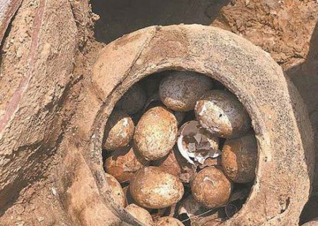 کشف تخم مرغ‌های ۲۵۰۰ ساله در چین