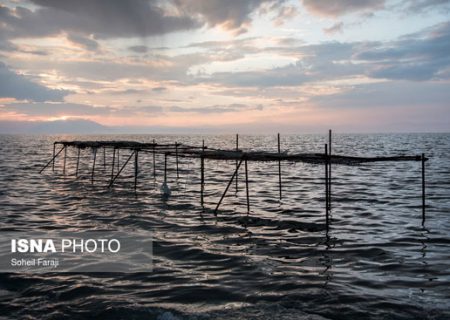 حالِ خوشِ «دریاچه ارومیه»/گزارش تصویری
