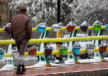 چهره زمستانی بهار در اردبیل/گزارش تصویری