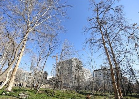 تصویب یک فوریت الزام شهرداری به تملک باغات و ابنیه تهران