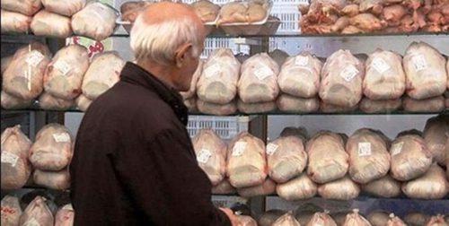شوک دوباره به قیمت مرغ در بازار