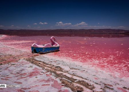 «کِشَندِ سرخ» در دریاچه مهارلو شیراز/گزارش تصویری