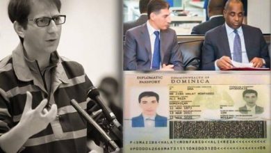 علیرضا زیبا حالت منفرد کیست