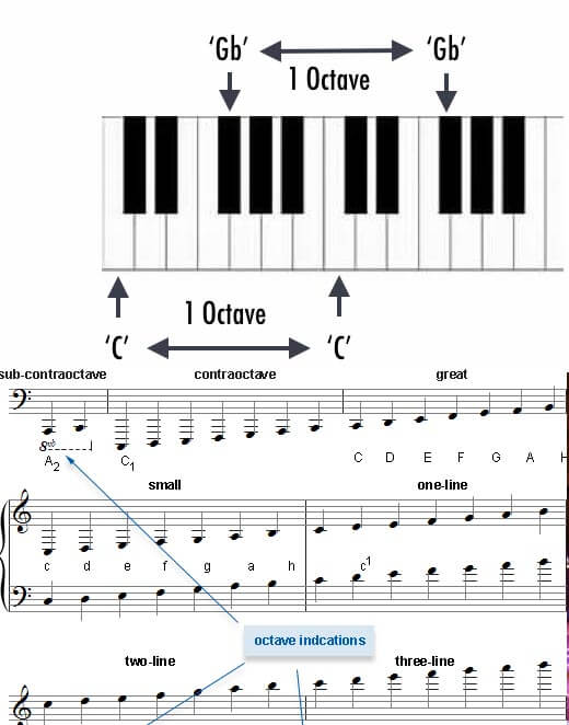 اکتاو در موسیقی، یعنی عدد ۸ یا نشان گر ۷ نُت  پایه موسیقی
