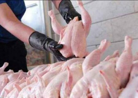 پیش بینی افزایش قیمت مرغ در بازار