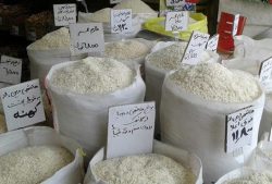 ۲۸ اردیبهشت ۱۴۰۲ | قیمت انواع برنج ایرانی در بازار تهران