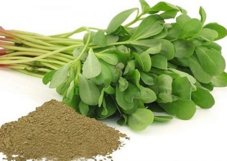  “۹۹ درد” با مصرف این نوع سبزی درمان می شود