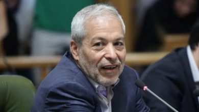 محمود میرلوحی