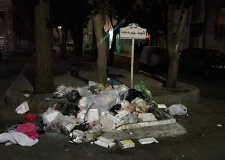 توضیحات شهرداری درباره سرقت مخازن زباله