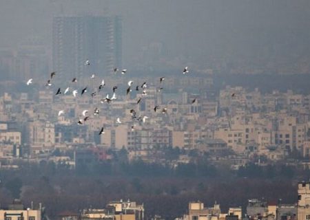 دلیل اصلی افزایش آلودگی هوای تهران چیست؟
