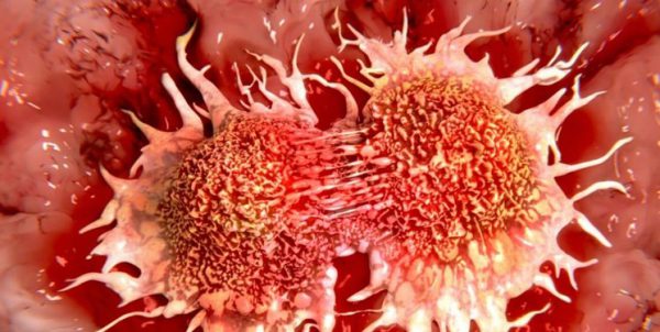 کشف دو داروی موثر در توقف رشد سلول‌ سرطانی