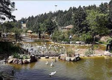 شهرداری تهران حق واگذاری باغ پرندگان لویزان را ندارد