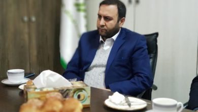 محسن پیرهادی