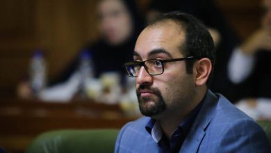 حجت نظری