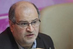 علیرضا زالی