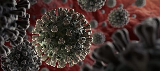 WHO: کرونا ۱۰ برابر بیش از آنفلوآنزای خوکی کشنده است
