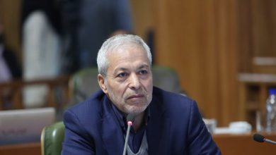 محمود میرلوحی