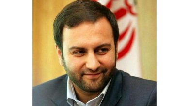 محسن پیرهادی