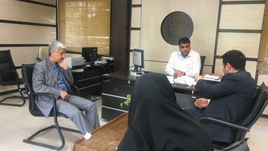 محسن فریدی