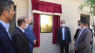 وحیدرضا محمدی