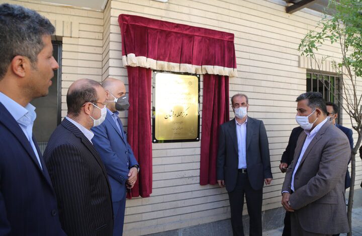 وحیدرضا محمدی