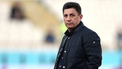 قلعه‌نویی