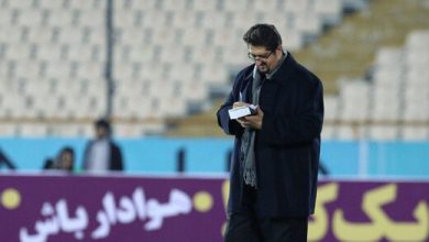هومن افاضلی